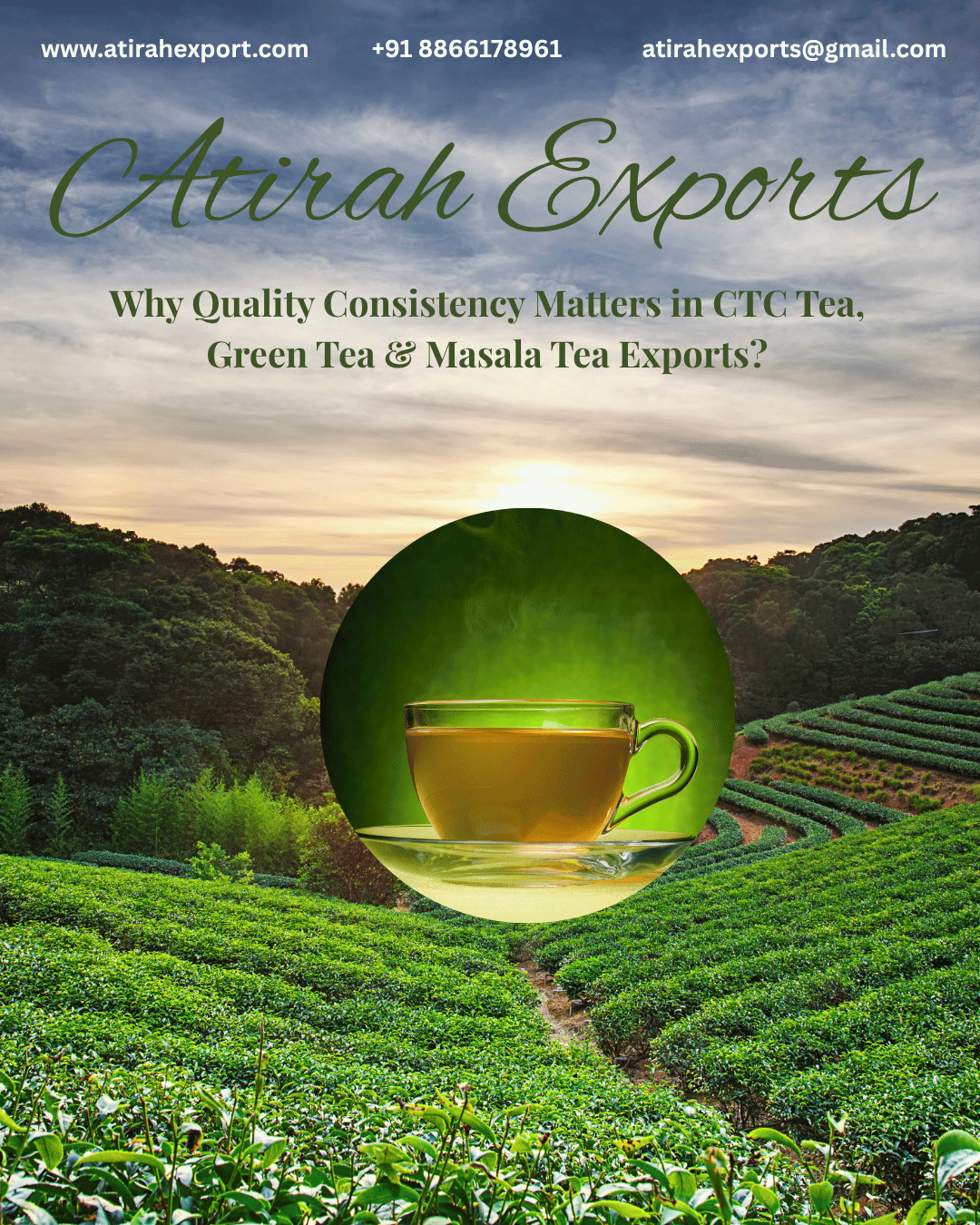 How Consistent Tea Quality Builds Long-Term Buyers