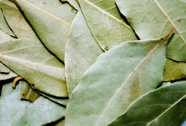 bay-leaf-1049543_1280