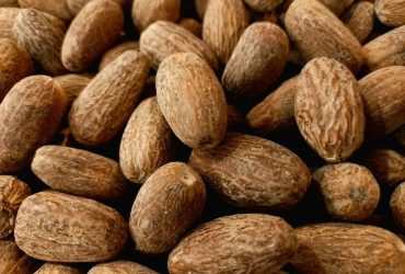 hardingferrent-SHD3Wg24u6I-unsplash