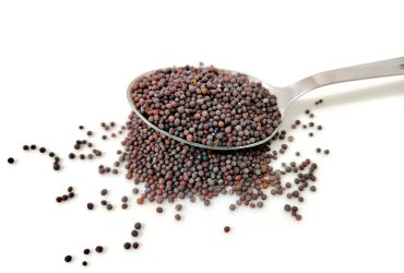 jaspreet-kalsi-KnqsFMimm1U-unsplash