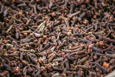 kristijan-arsov-xGUqd61jYfs-unsplash