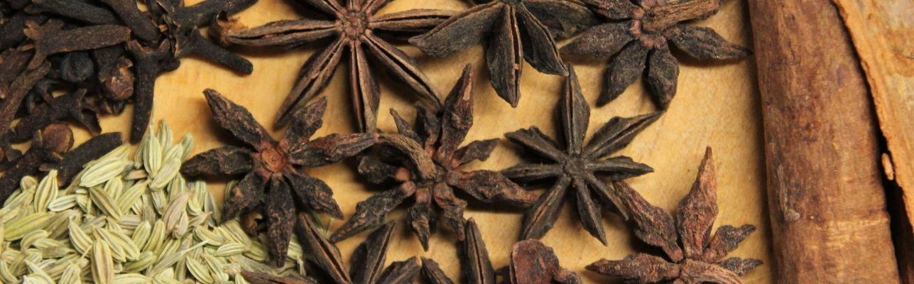 timothy-newman-pBwMdofMxtU-unsplash